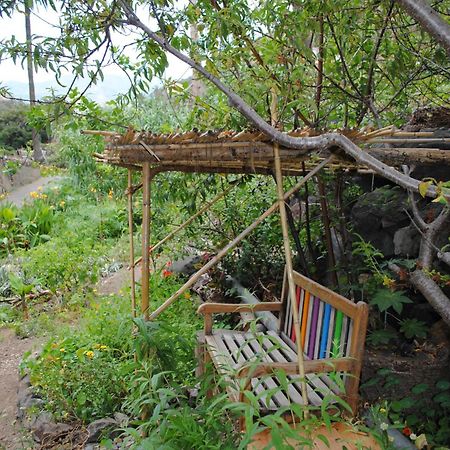 Hostal Casa Amaya Vallehermoso Eksteriør bilde